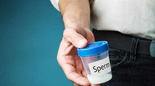 Sperm Donation