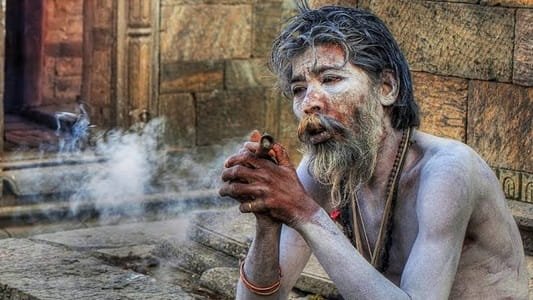 Is Cannibalism Legal In India