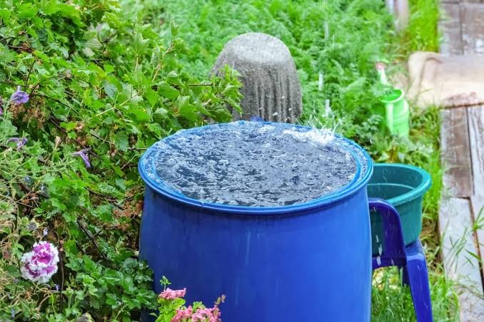 Is It Illegal to Collect Rainwater