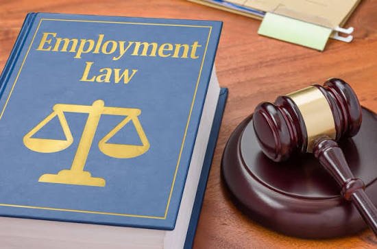 Top 5 Employment Law Attorneys in New Jersey (2026)